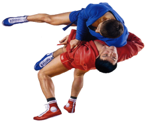 Sambo
