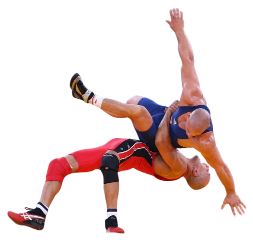 Freestyle wrestling